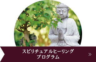 スピリチュアルヒーリングプログラム
